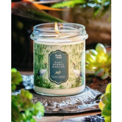 Wosk i Knot Biały Bambus & Melon świeca sojowa 300ml